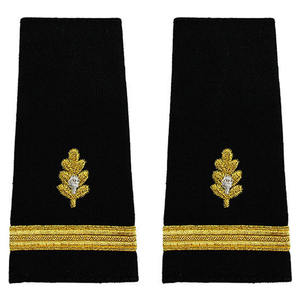 Insignia de uniformes de línea aérea bordada a mano para charreteras con etiqueta de marca personalizada y opciones de logotipo - Product Image 2