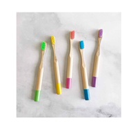 Cepillo de Dientes de Madera de Excelente Calidad, 100% Natural y Ecológico para Adultos, Libre de BPA, Cerdas Suaves, Moderno y Elegante para Uso en Hoteles