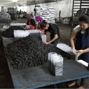 Haute qualité 500g BBQ Cube briquettes de charbon de bois Premium bois dur inodore propre combustion longue durée qualité d'exportation - Product Image 5