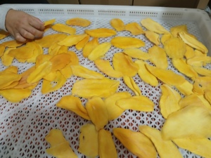 Proveedor de Vietnam, mango suave seco sin azúcar, bocadillo de frutas tropicales de alta calidad, rebanada de mango dulce para venta al por mayor global - Product Image 6