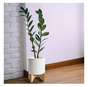 Precio al por mayor, maceta de metal decorativa de lujo con soporte para plantas de interior, Hogar Moderno, balcón, jardín, oficina, salas de estar - Product Image 1