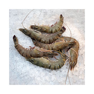 Camarones Tigre Negros Enteros, Mariscos Premium, Suministro al por Mayor, Alta Calidad, Cultivados en Granja, Grado de Exportación, Fuente Confiable - Product Image 1