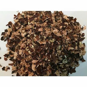Cáscara de Anacardo para Combustible de Biomasa Renovable, Tendencia Actual - Product Image 3