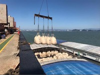 Ciment Portland mélangé M.I.T VIETNAM PCB40 42,5 MPa, fourni par l'usine |   Résistant aux sulfates, durcissement rapide pour les infrastructures d'exportation