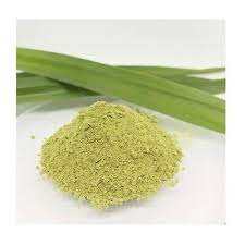 พืชอวบอิ่มใบเตยผสม - Product Image 2