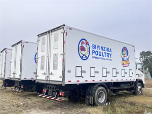 BEST OFFER USED 4x2 Left Hand Drive New Day Old Chick <b>Transport</b> Truck Poultry Livestock Insulated V-a-n Truck - Product Image 5