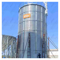 Silo di Stoccaggio per Chicchi di Caffè in Acciaio Zincato a Doppio Strato a Prezzo di Fabbrica, Durata 25-40 Anni, con Controllo PLC SIRO per l'Esportazione