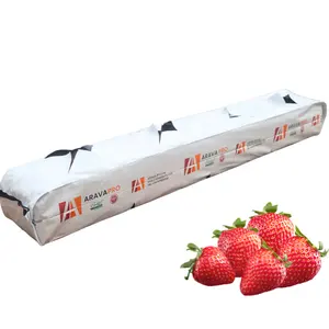 Coco peat grow bags for strawberry growing with special mixes for high production & best quality lowest price.