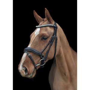 Bride de cheval anatomique en cuir ORANGE Freeway MonoCrown Shaped Cut Away Poll Cut Back for Riding - Product Image 5