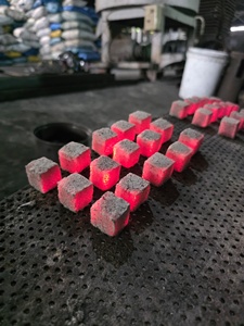 Sistemas de alta tecnología para la elaboración de briquetas de carbón de Shisha en el sector manufacturero de Indonesia - Product Image 2