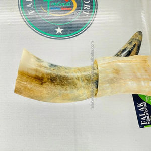 Véritable corne de boeuf grande taille vache boeuf Viking corne à boire Simple personnalisé forme naturelle poli bière corne de vin nautique par FWE - Product Image 6