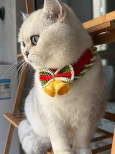 2025 cat <b>Winter</b> Crochet Pet Scarf Popular Pet Scarf Warm and Fashionable <b>Bell</b> Scarf - Product Image 5
