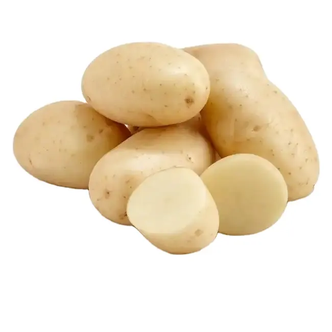 Картофель Императрица. Картофель Императрица СЕДЕК. Картофель белый. Семена картофеля.