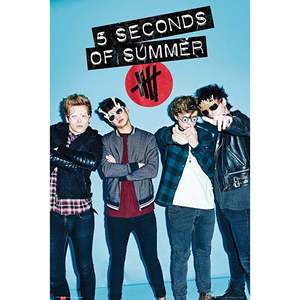 Affiche sur toile 5 Seconds of Summer, design moderne avec lunettes, pour utilisation murale - Product Image 5