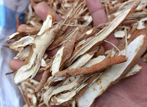 Raíz de Curculigo Roja Seca de Vietnam al por Mayor / Areca catechu / Suministro a Granel de Materia Prima Herbal - Product Image 5