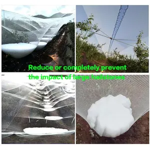 China Factory Cheap Price Hail Protection Net
