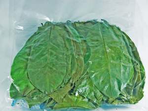 PRODUCTO DE TÉ NATURAL A PARTIR DE HOJAS DE URENSA SECA, VIETNAM, SABOR DE TÉ ÚNICO Y SUAVE - Product Image 5