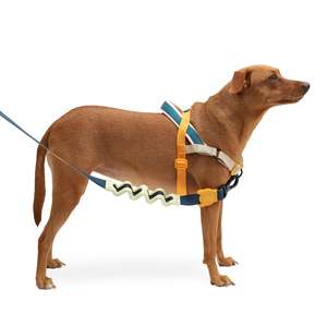 Harnais de luxe norvégien pour chien Softer-Walk Voyage en polyester durable pour chiens de petite, moyenne et grande taille, style simple pour des promenades faciles - Product Image 4