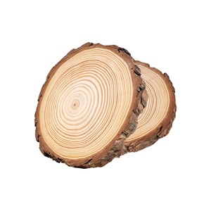 Natural <b>Wood</b> <b>Slices</b> High Quality, Eco-Friendly, Ideal for DIY Crafts - Product Image 2