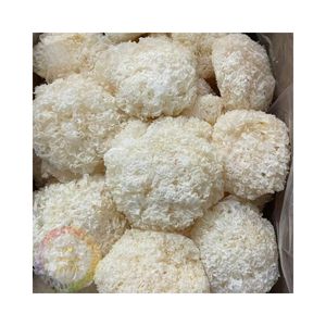 Tremella (hongo de nieve) seca premium, ingrediente culinario natural para preparar sopas dulces y platos especiales de Vietnam. - Product Image 3
