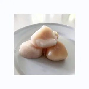 IN Stock Seafood Shellfish Frozen Fresh Half Shell Scallop Frozen Scallop Meat For Export Frozen High Quality Scallop Meat | Aff