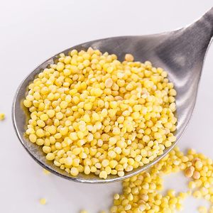 Meilleur prix pour le millet jaune farineux en gros – Fournisseur en vrac – Achetez du millet non glutineux pour la cuisson - Product Image 4