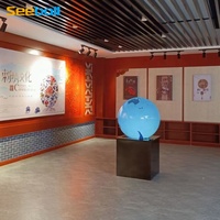 Système d'écran sphérique interactif Seeball de 60 cm de diamètre, OEM/ODM, résolution 1920x1200, gain 0,87, PET, angle de vue à 360 degrés, 6500