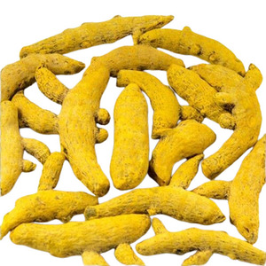 Cúrcuma cruda de alta calidad, seleccionada, cosechada en la India, cuidadosamente secada al sol para uso culinario, procesamiento de alimentos e industrial. - Product Image 6