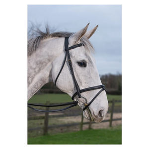 Équipement pour chevaux glaçure & Gordon-bride surélevée de luxe-marron - Product Image 1