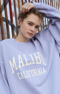 OEM Logo personnalisé col rond imprimé lourd classique polaire vêtements de sport en coton surdimensionné à manches longues sweatshirts pour femmes - Product Image 3