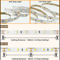 Bande LED 2835 USB 5/12/24V CE & RoHS, haute densité, 60/120/180/192/196/240/300 LED en option, PCB 5/8/10mm pour chambre, vitrine