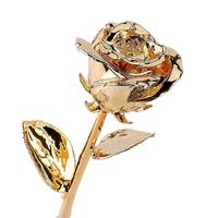 Roses naturelles préservées plaquées or 24 carats, aspect moderne, pour la Saint-Valentin, mariage, décoration intérieure, cadeau, couleur personnalisée