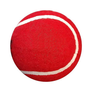 Bolsa de Malla para Pelotas de Tenis de Práctica, Diseño de Doble Color, Alta Calidad, para Deportes al Aire Libre, Personalizable al por Mayor - Product Image 1