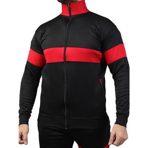 Vêtements pour hommes Sports de plein air personnalisés vêtements de sport pour hommes survêtements pour hommes ensemble 2 pièces de sweats à capuche ensembles de sweat-shirts à fermeture éclair personnalisés - Product Image 2