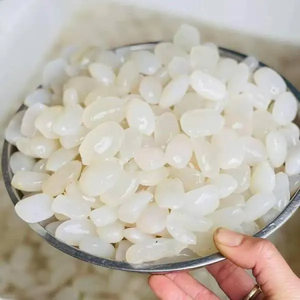 Arenga Pinnata Seca Pura a Precios Competitivos para Exportación, Buena para la Salud y la Belleza de la Piel - Product Image 5