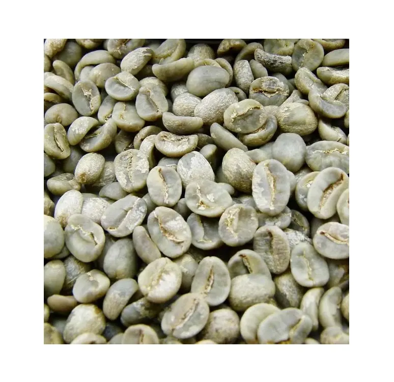 DHPONE Arabica Green Coffee Beans Natural Process Export Standard Vietnamese Hot Selling