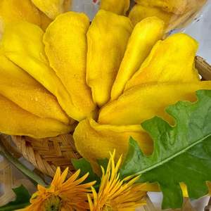 Premium Chewy Mango Snack-Delicia Sabor Tropical - Product Image 1