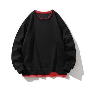 Sweat à capuche 100% coton épais pour hommes à manches régulières Sweat-shirt solide personnalisé de haute qualité Logo personnalisé imprimé polaire - Product Image 3