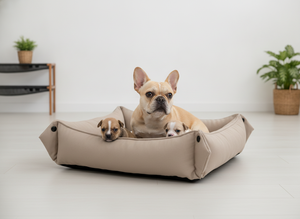 Large Rectangular Transforming Pet <b>Bed</b> (Beige Textile) <b>for</b> Cats & <b>Dogs</b> Simple Style All Seasons - Product Image 5