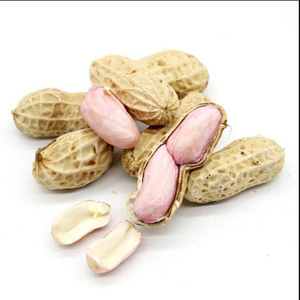 Cacahuetes Secos Naturales 100% Listos para Comer, 24 Meses de Duración, para Refrigerios, Grado Alimenticio, Venta Directa - Product Image 4