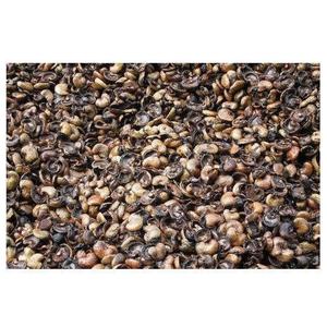 Coquilles de noix de cajou crues de haute qualité pour l'exportation et la vente en gros - Product Image 2