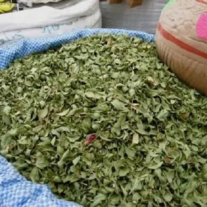 100% FEUILLES DE MORINGA SÉCHÉES NATURELLES APPROVISIONNEMENT EN VRAC À L'EXPORTATION - Product Image 6