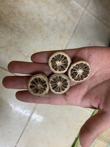 ส่งออกร้อนเวียดนามส้มหนุ่มแห้งจํานวนมากด้วยราคาที่แข่งขันได้ - Product Image 2