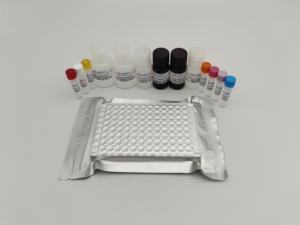 Alat uji melamin <span class=keywords><strong>ELISA</strong></span> untuk deteksi residu dalam susu, susu bubuk, umpan, biskuit, dan produk susu - Product Image 5