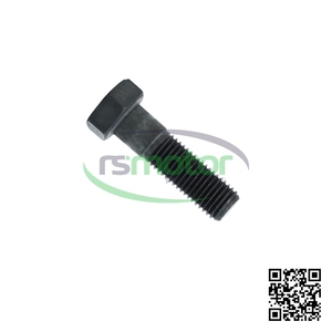 Perno Hexagonal de Alta Calidad para Motor, Pieza de Repuesto de Alta Precisión, Piezas de Fijación MWM RS-01144465 - Product Image 4