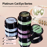R S Nail Wholesale Hema Free Platinum Cat Eye Gel 12 Couleurs Holographic Glitter Shimmer Magnet Gel Polish