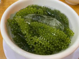 ALGAS UVA, RECOGIDAS DEL OCÉANO, UN INGREDIENTE FRESCO PARA ENSALADAS Y COMIDAS SALUDABLES - Product Image 5