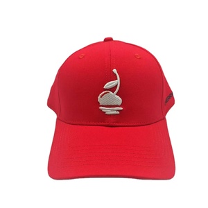 Vente en gros de chapeaux et casquettes brodés à bord plat avec logo personnalisé à 5 panneaux-Casquette de camionneur avec panneau en maille - Product Image 2