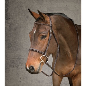 Belle bride anatomique pour dressage Rembourrage doux et produits pour chevaux confortables - Product Image 1