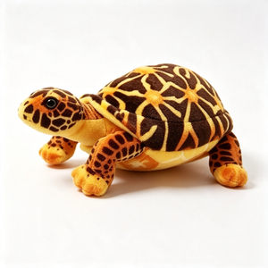 Peluche de tortuga estrella personalizado, peluche de tortuga realista, peluche de tortuga terrestre. - Product Image 4
